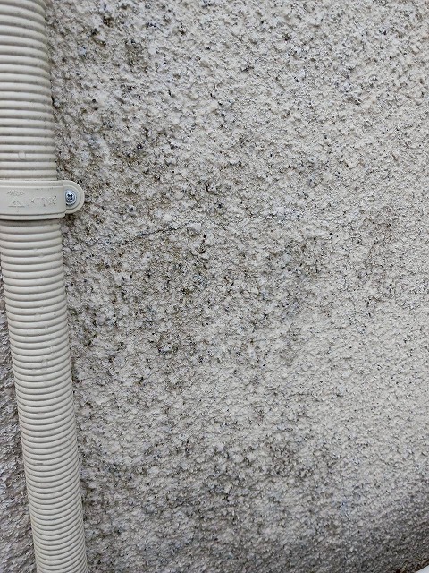 外壁塗装もご相談ください